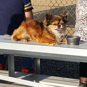 Meet your Posher, Renee